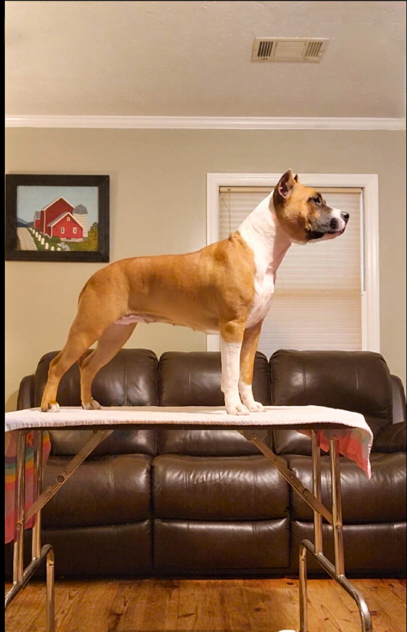 20231026_105608_0000