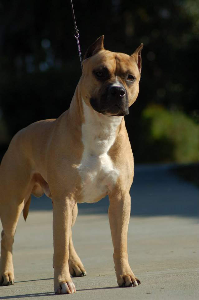 488749241_3988854138097601_3391424208960555172_n