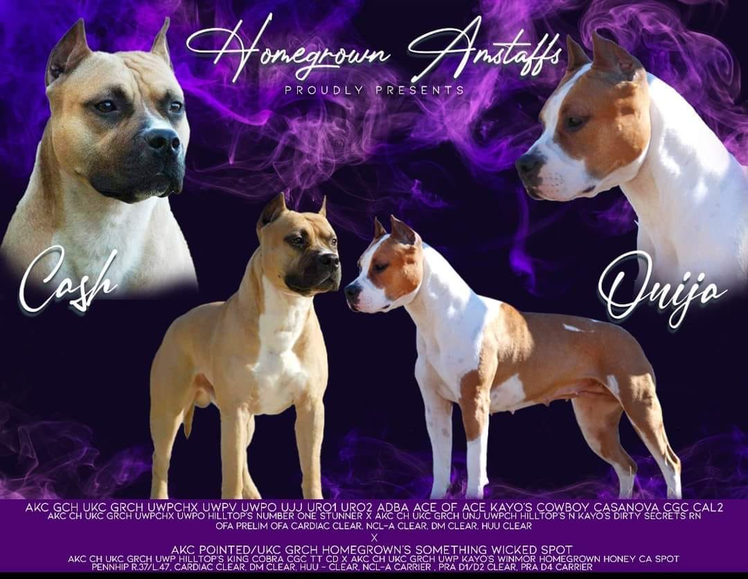 494148951_10233673668037212_3427285585057181110_n