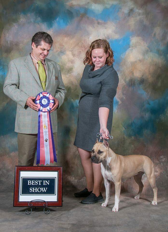 FB_IMG_1482183562707