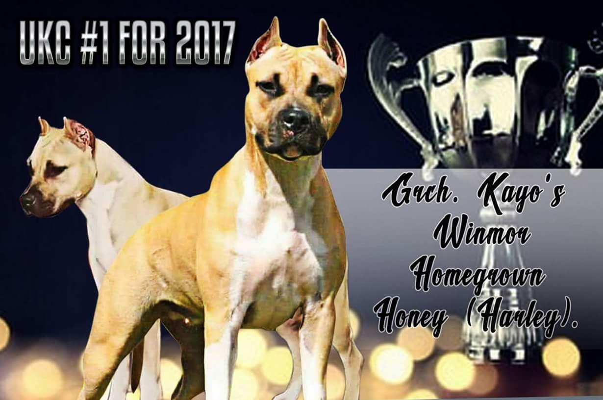 FB_IMG_1528762131049 (2)