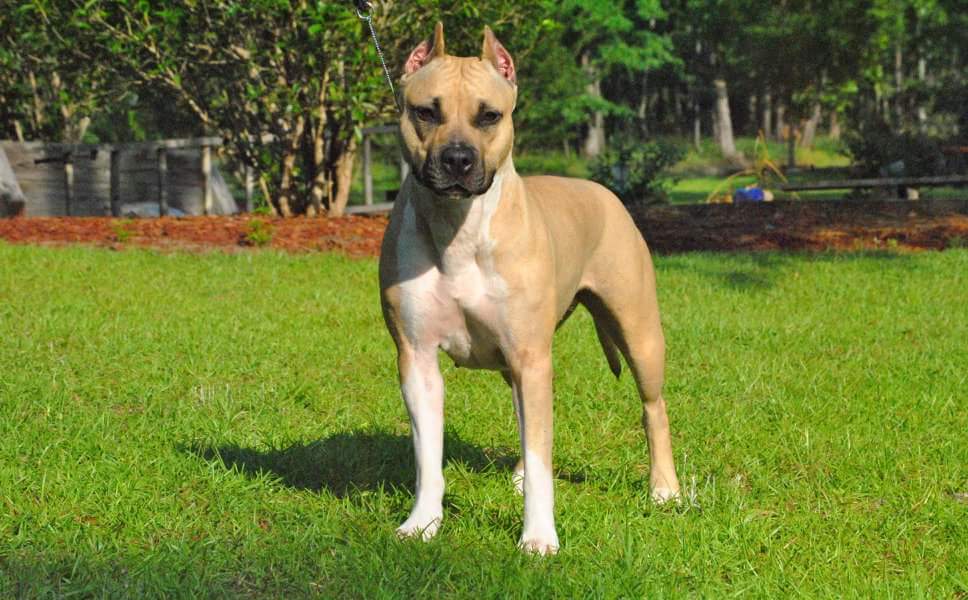 FB_IMG_1529456166376