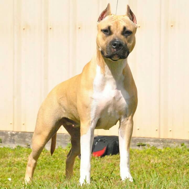 FB_IMG_1570915402238