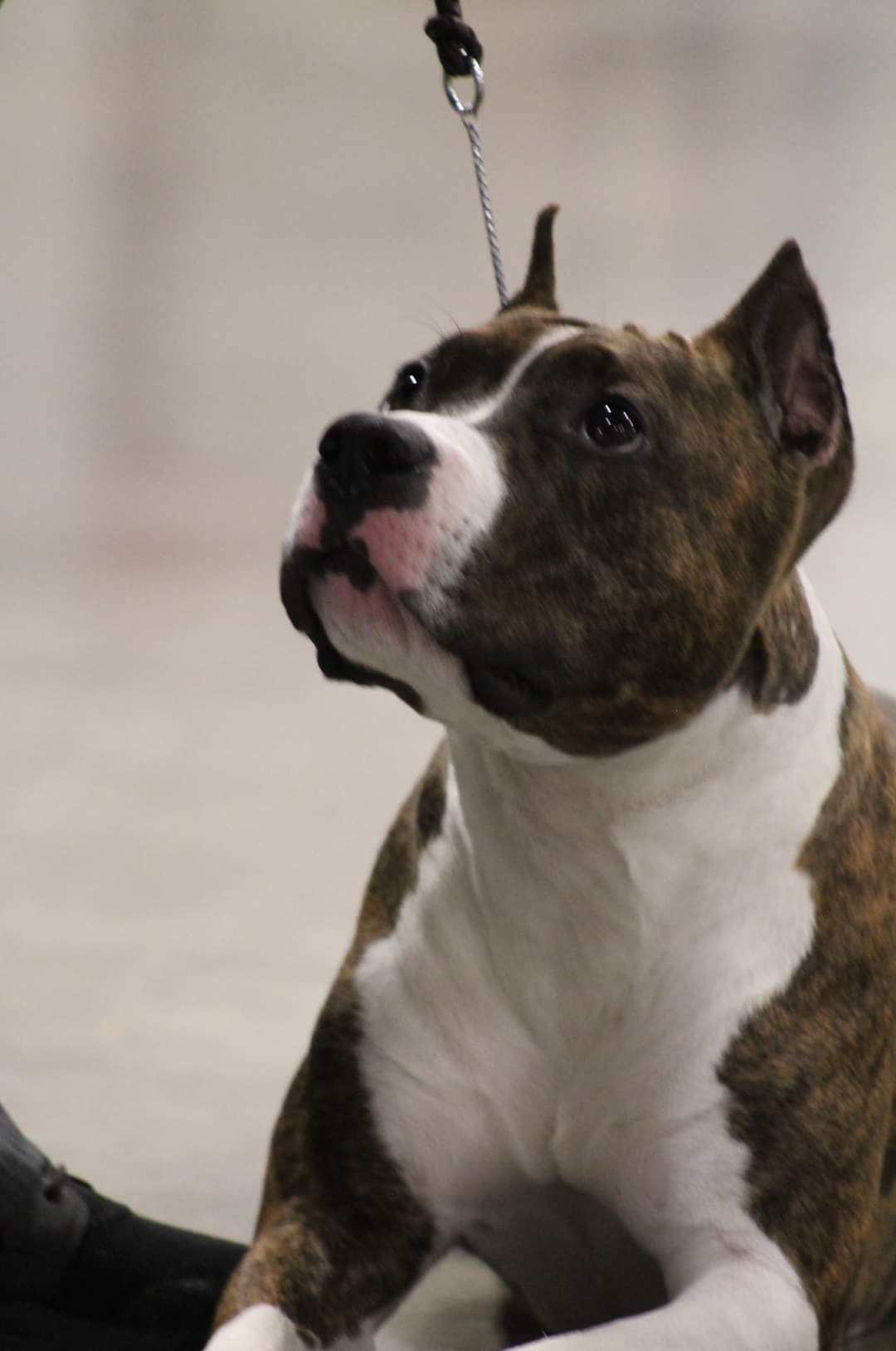 FB_IMG_1599575984788