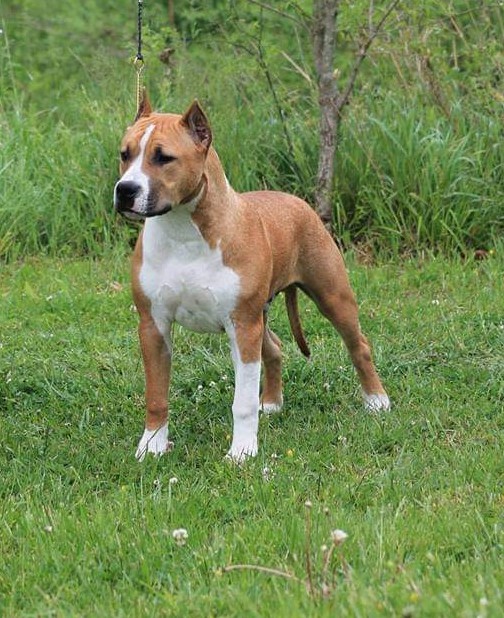 FB_IMG_1611624930380 (2)