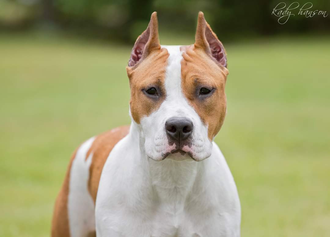 FB_IMG_1658164822261