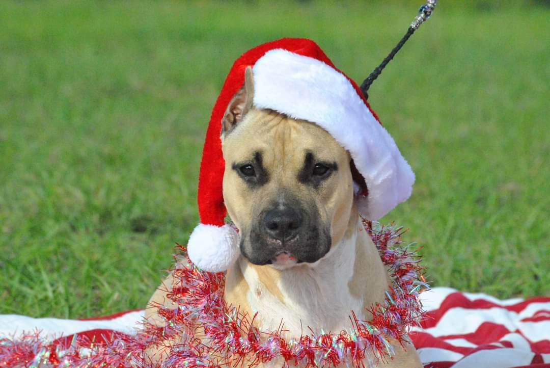 FB_IMG_1679077589936