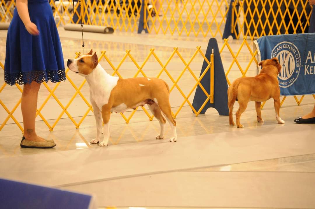 FB_IMG_1689716730702