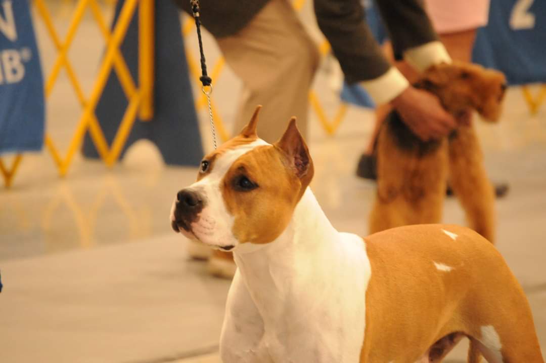 FB_IMG_1689716738599