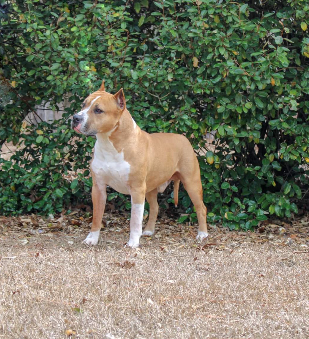 FB_IMG_1690332622989