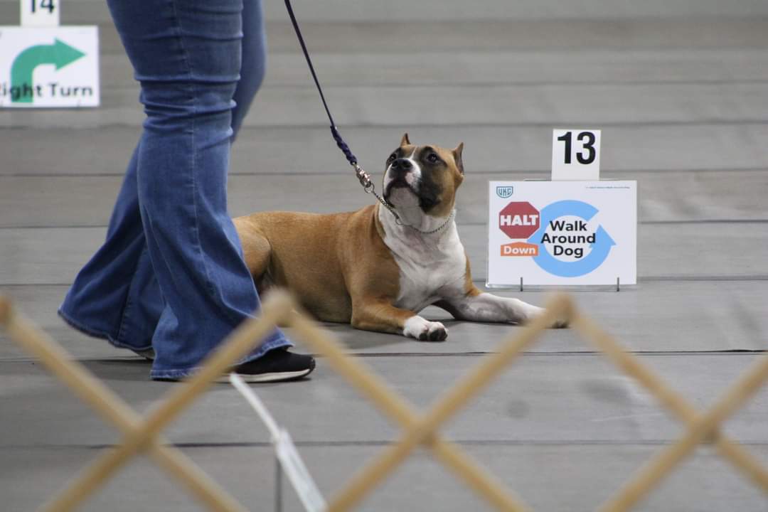 FB_IMG_1694351352391 (1)