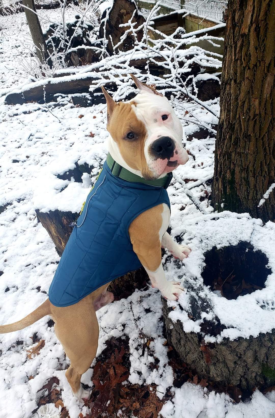 FB_IMG_1702961063616