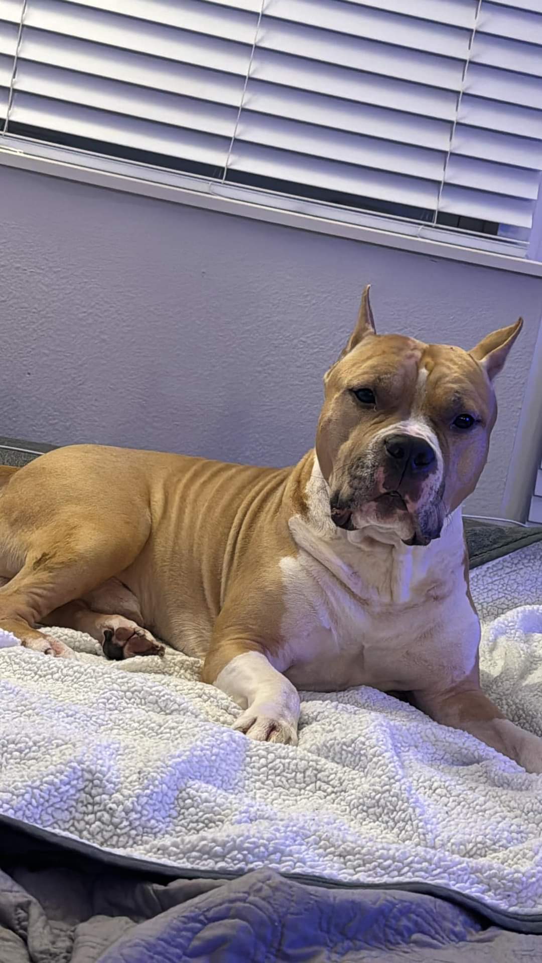 FB_IMG_1718303633211