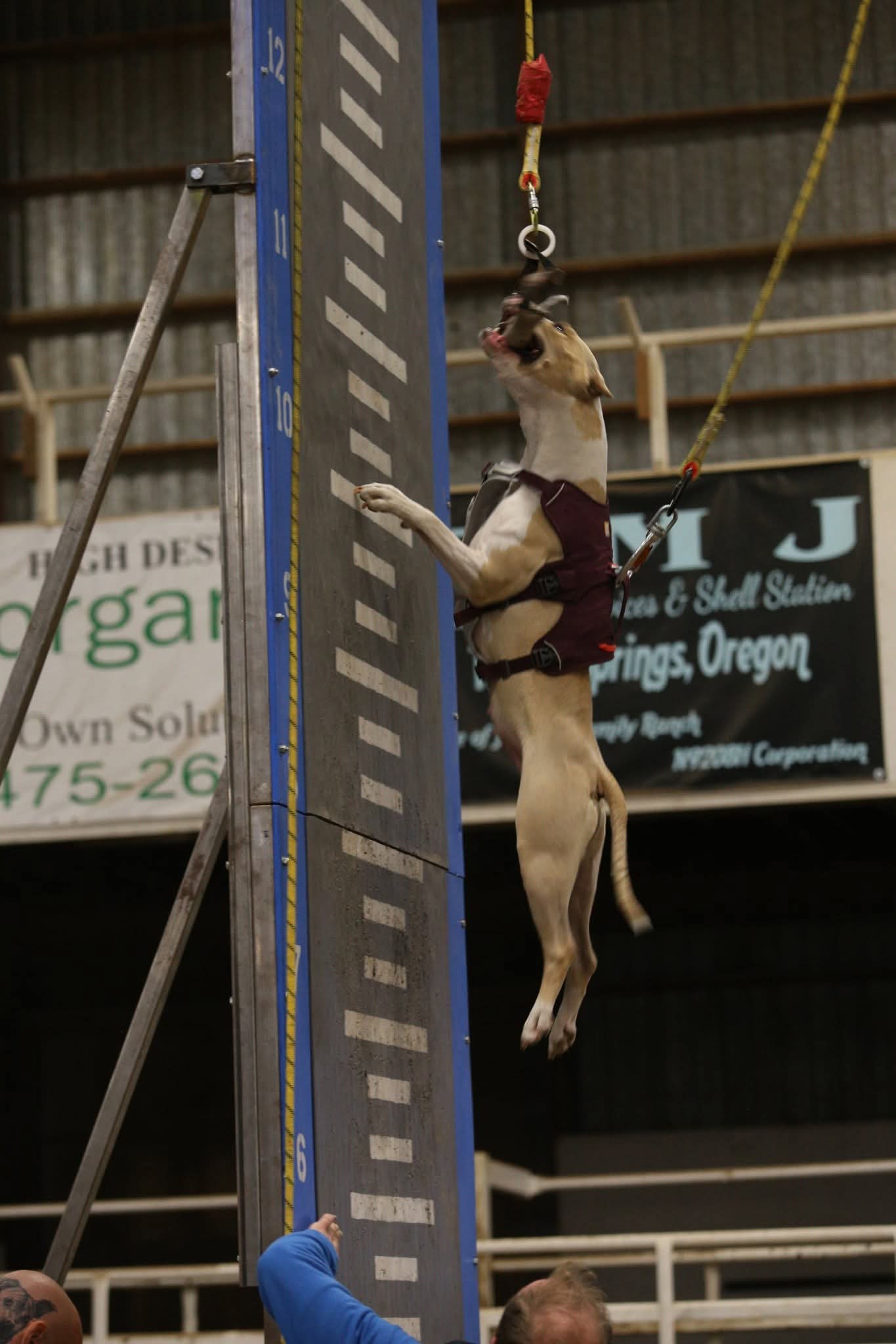 FB_IMG_1753684103169