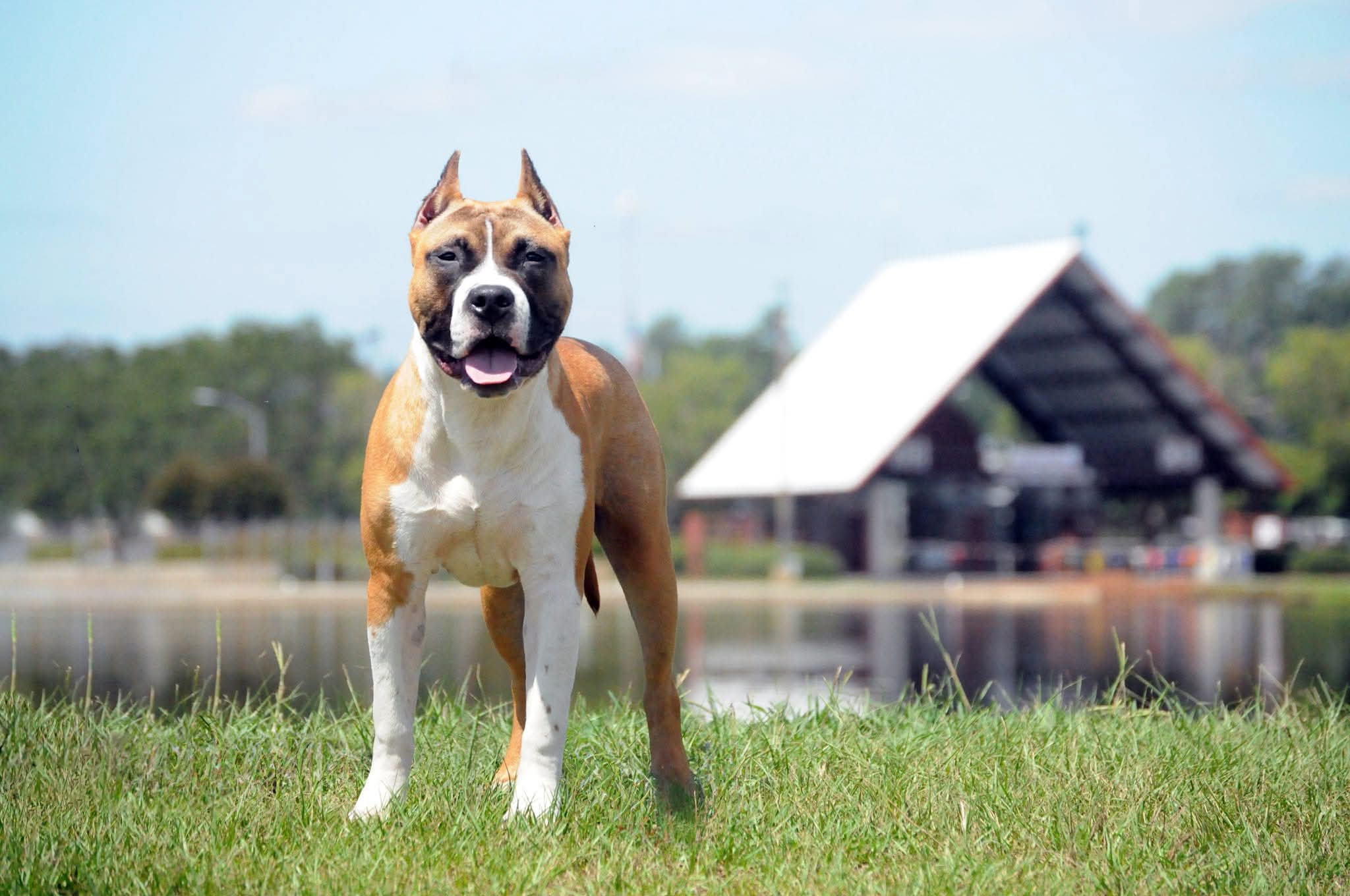 FB_IMG_1753684502060