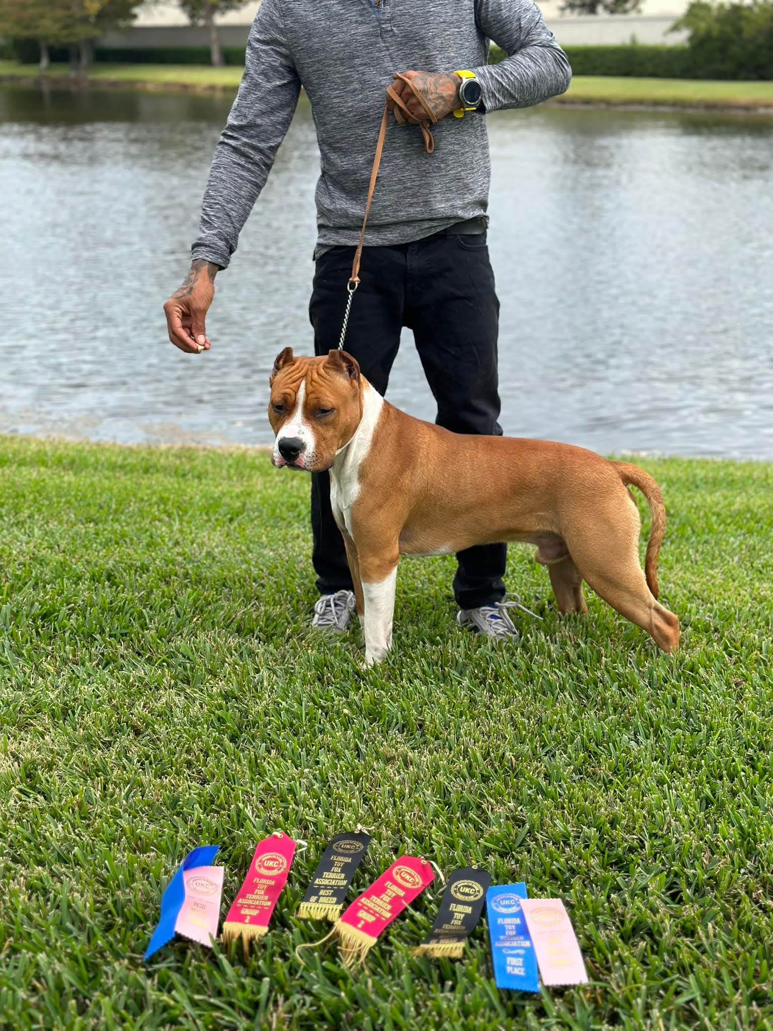 FB_IMG_1753684536779