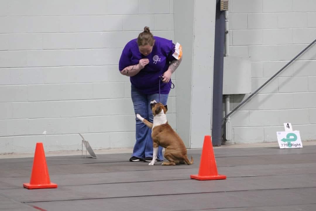 FB_IMG_1753684625095