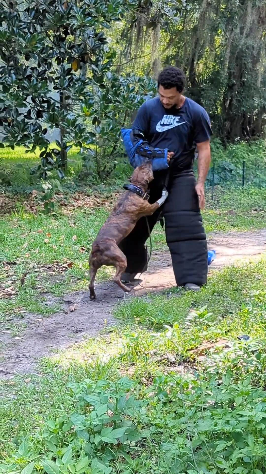 received_1003701447317009