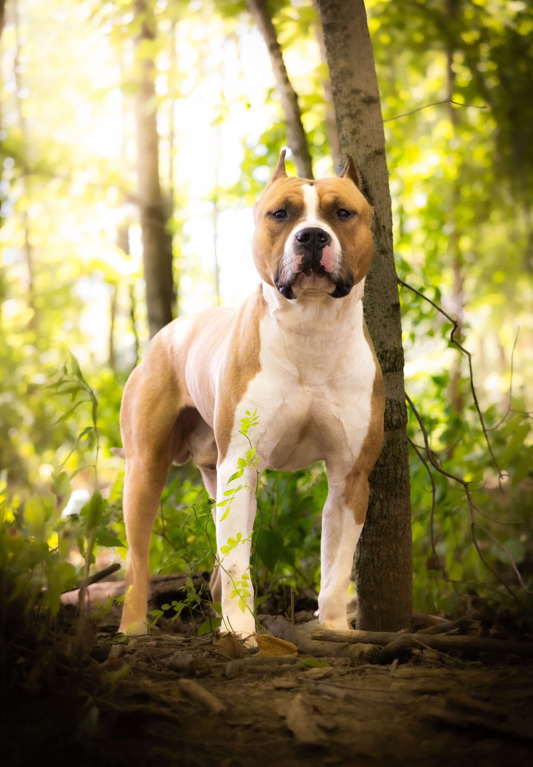 received_1054261449649944