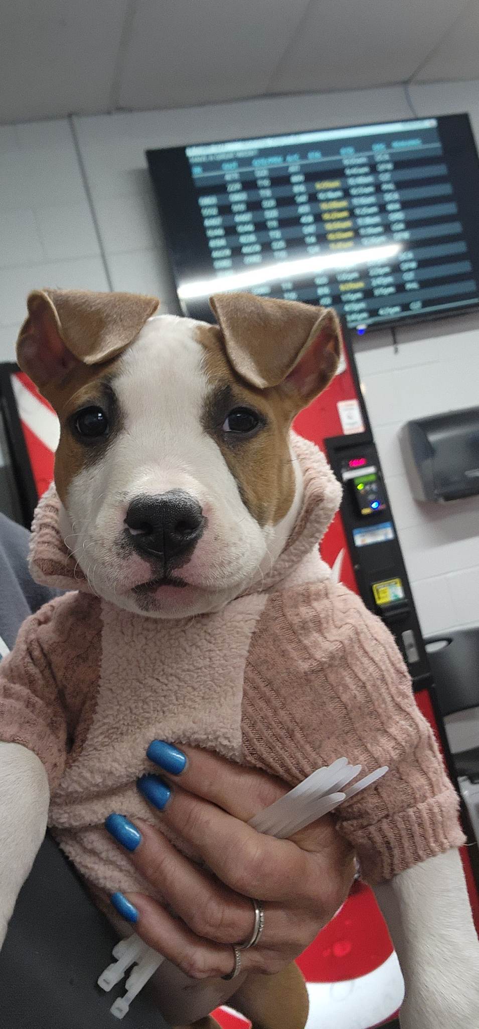 received_1265543950986055