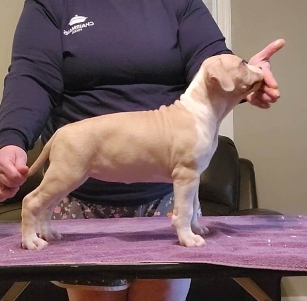 received_169777548795247