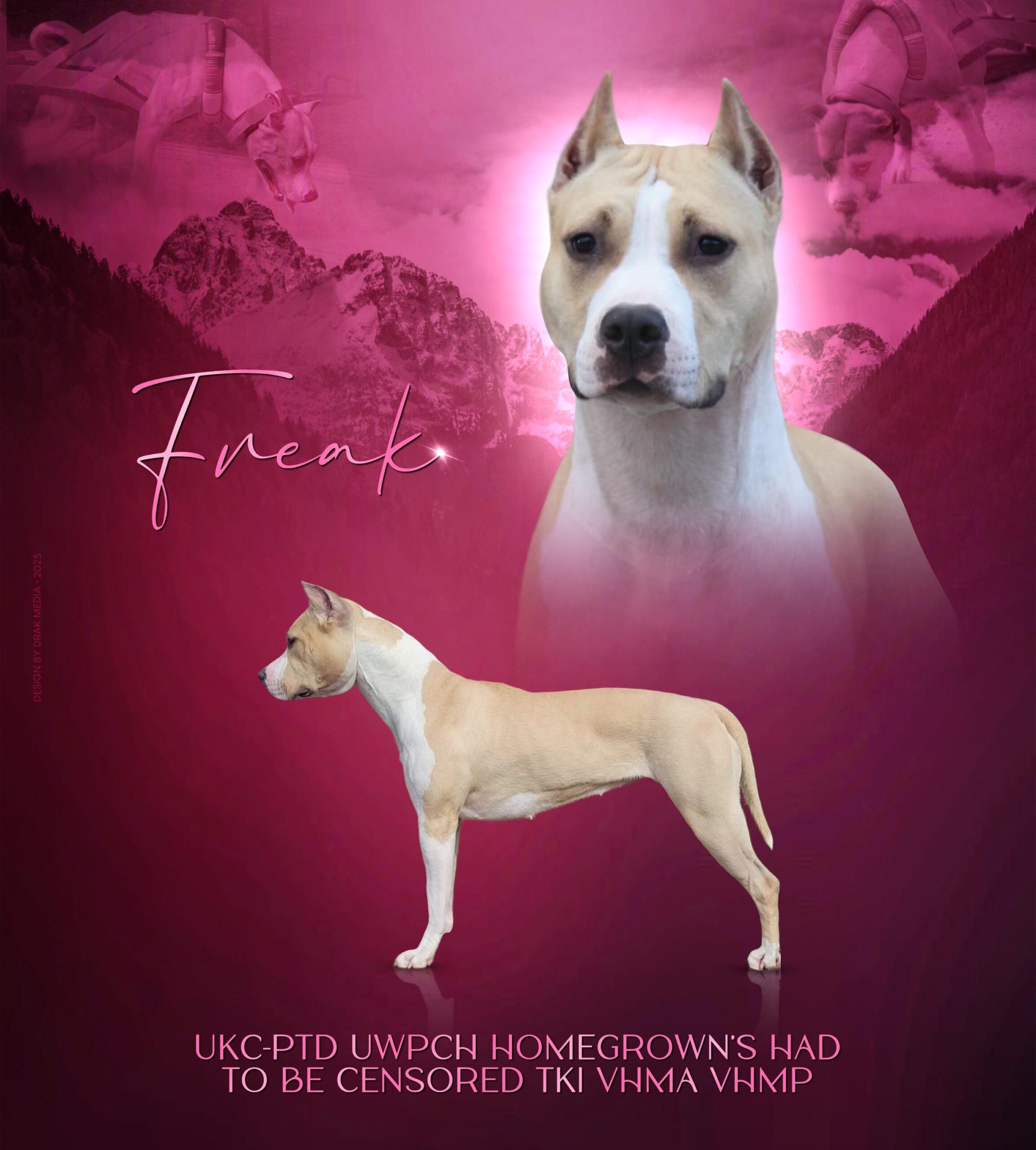 received_1849091722289963