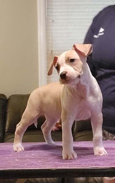 received_607092084177765