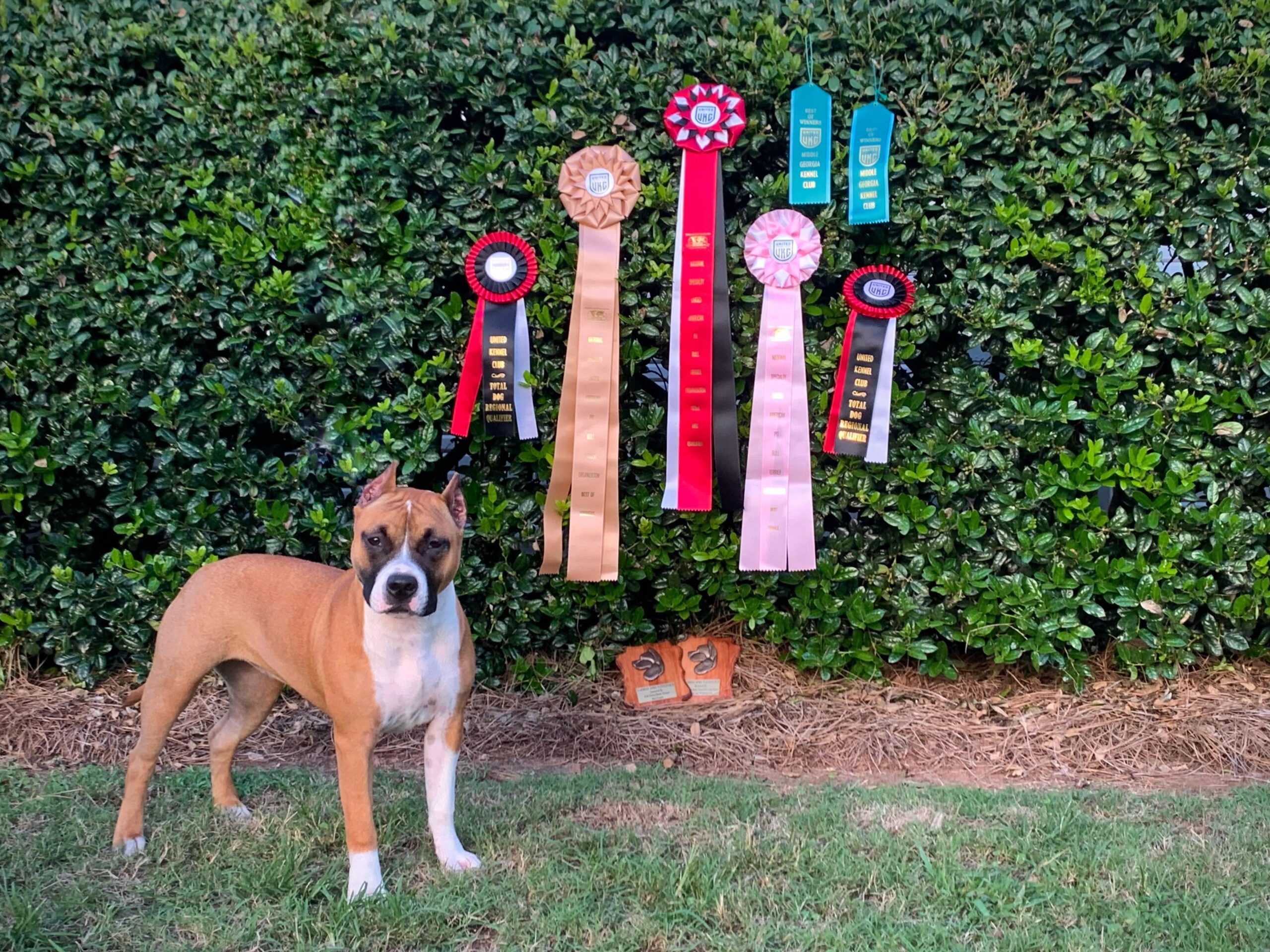 received_835828737987983