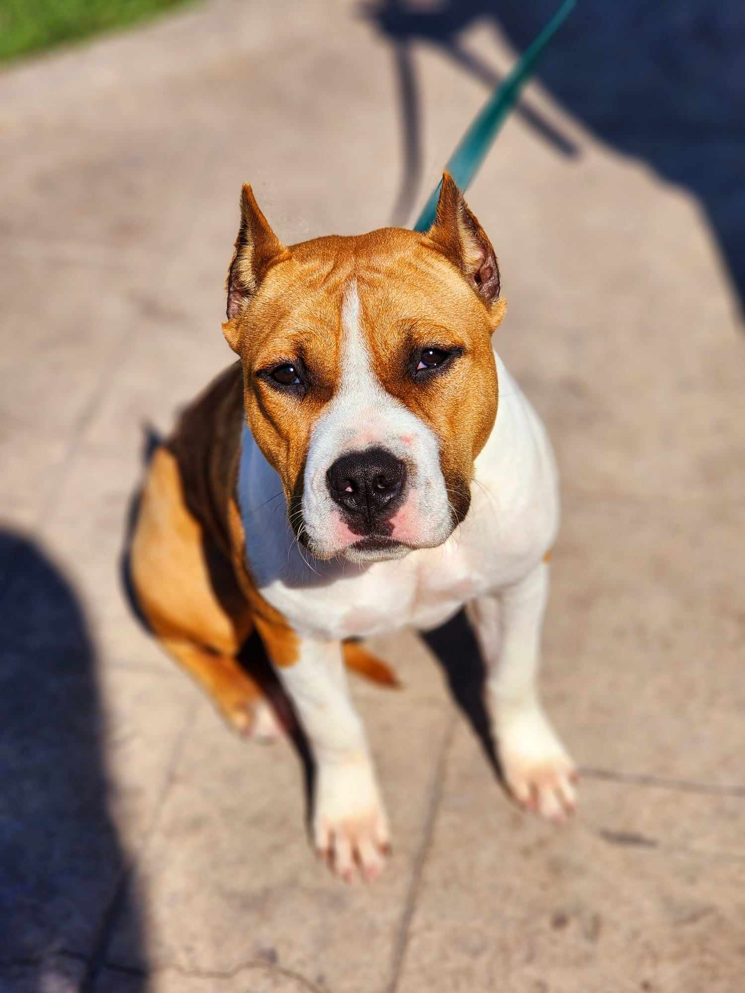 received_838780381087408