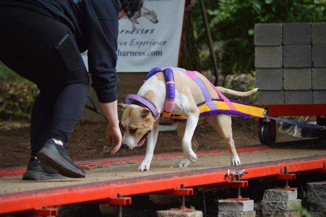 received_9001947119832412 (1)