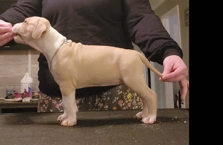 received_905438687391842